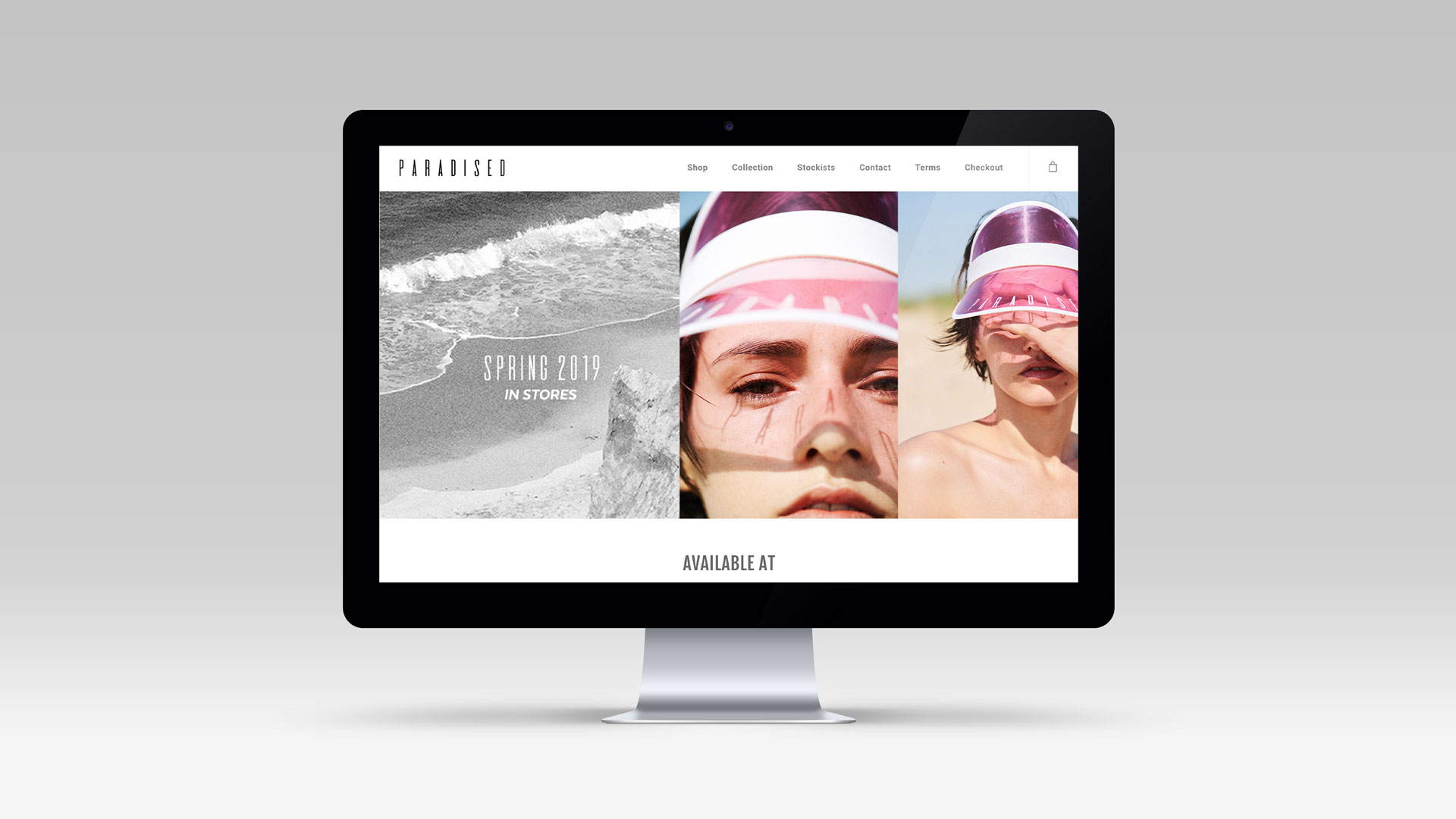 Paradised Website Design